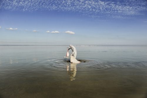 Death of 7000 migratory birds