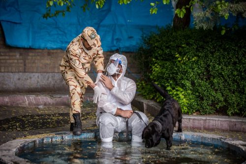Iranian COVID Sniffer Dogs – (Extended)